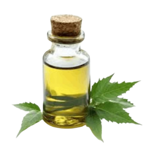 New_Project__34_-removebg-preview Huile de Neem