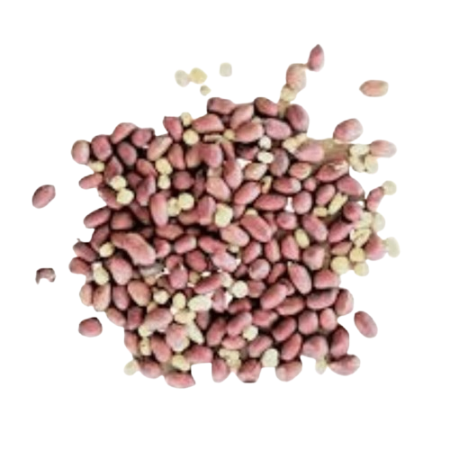 Graines d’arachides