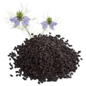 New_Project__59_-removebg-preview Graines de Nigelle