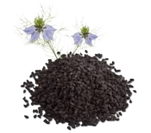 Graines de Nigelle